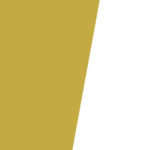 section-ceo